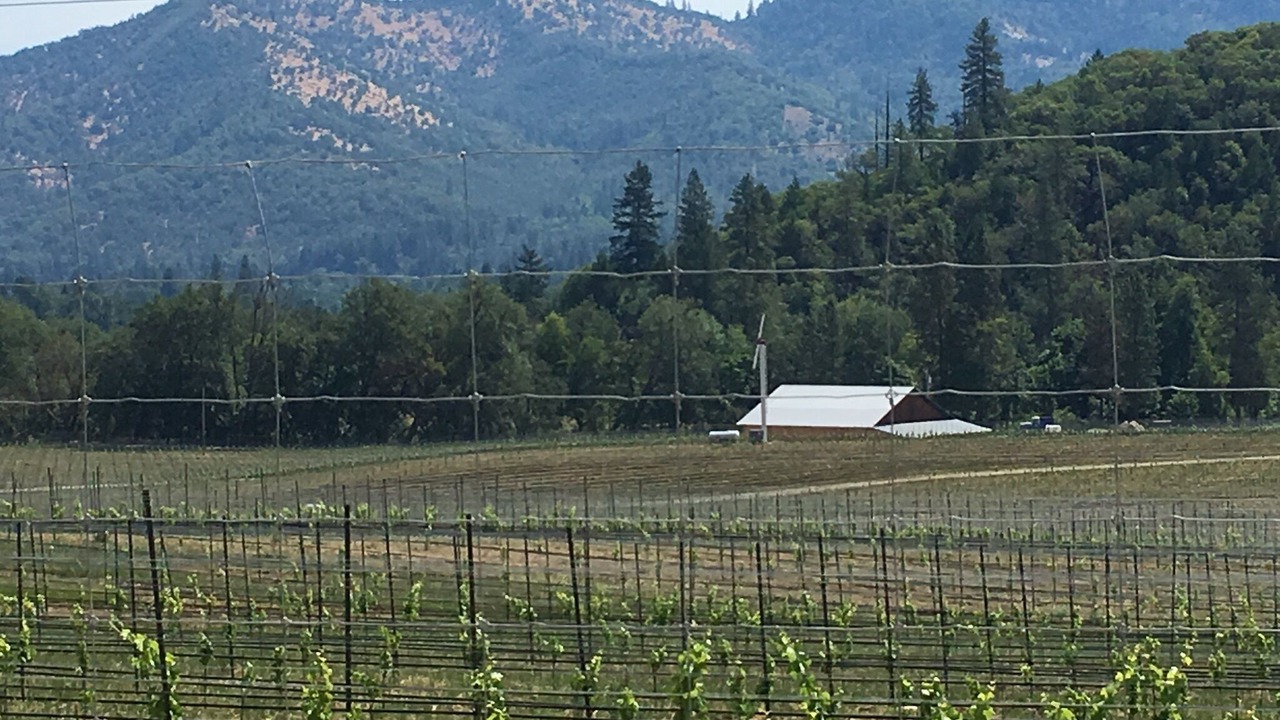 Photo of Others in Gold Hill