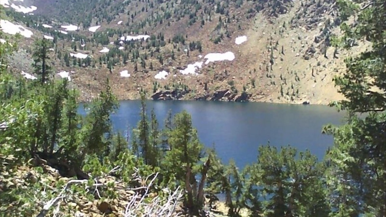 Photo of Outdoor in Weed