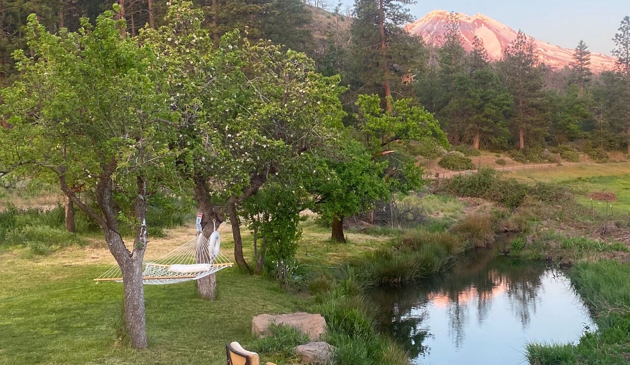 Photo of Outdoor in Weed