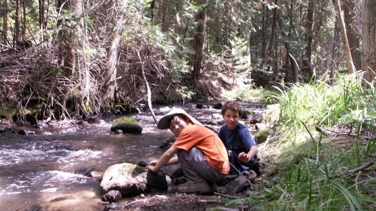 Photo of Others in Weed