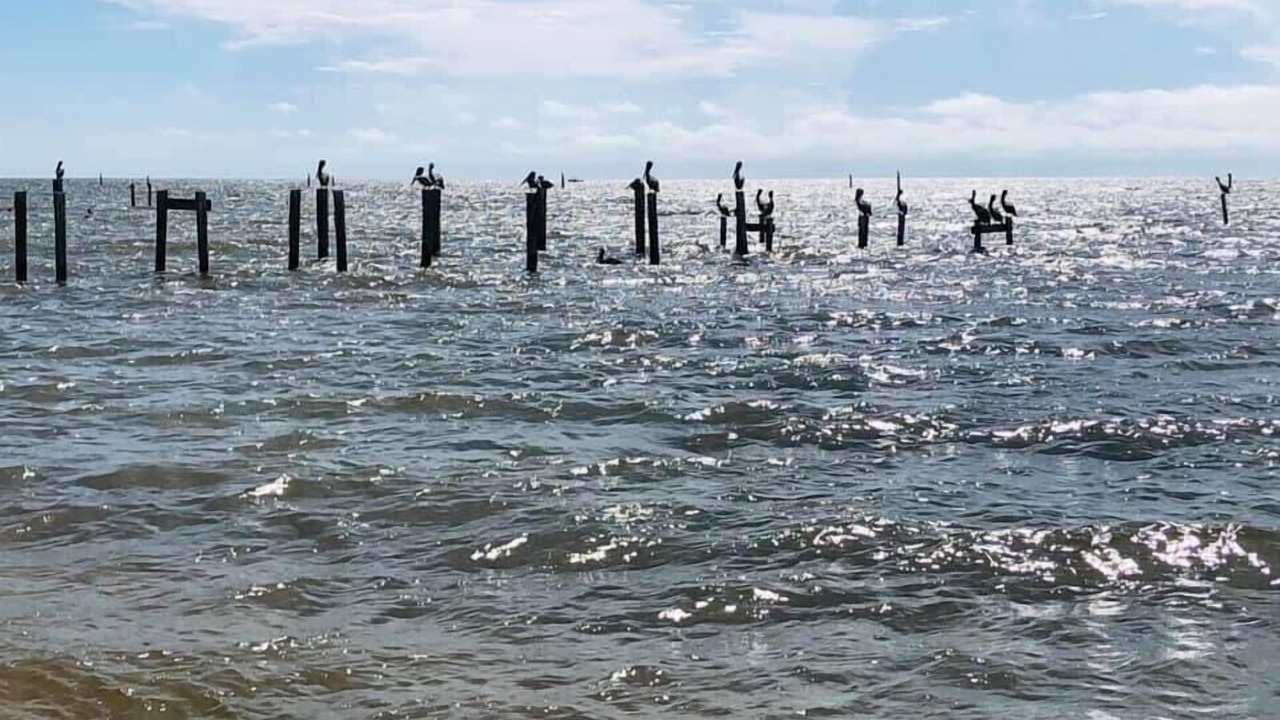 Photo of Others in Bay St Louis