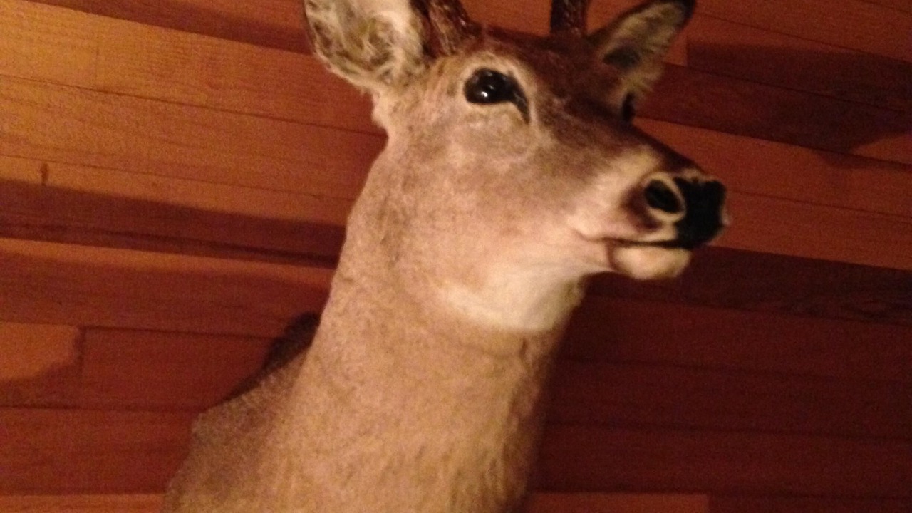 Photo of Others in Deer Valley