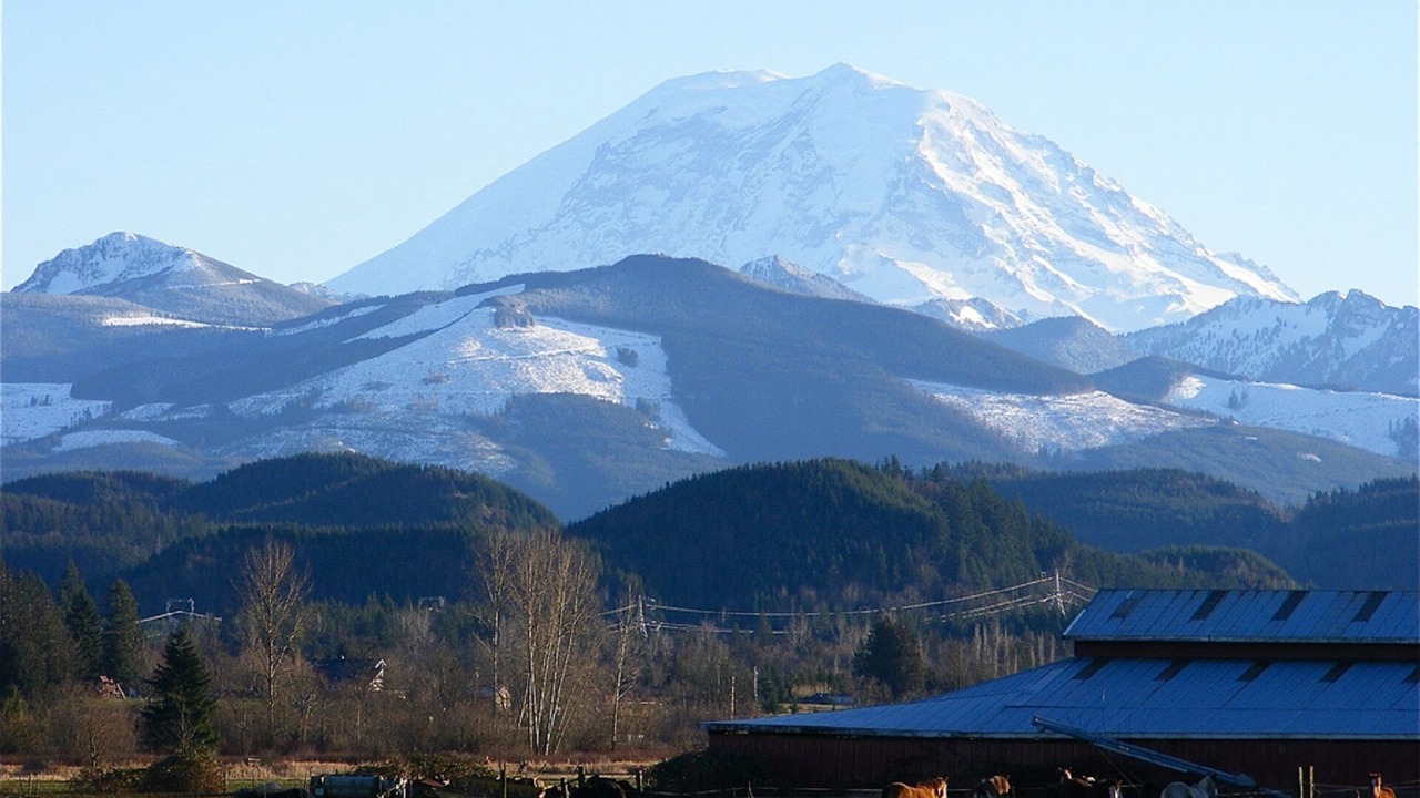 Photo of Others in Tacoma