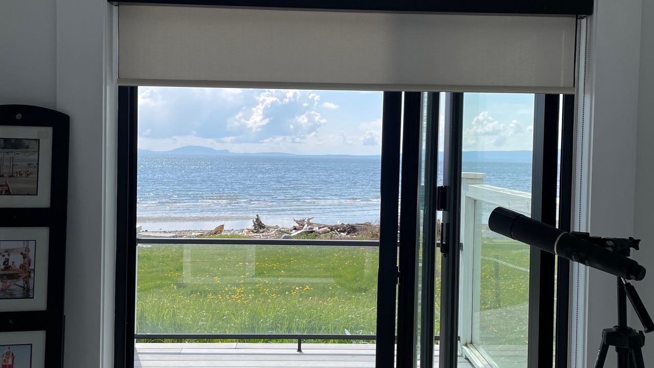 Photo of Others in Point Roberts