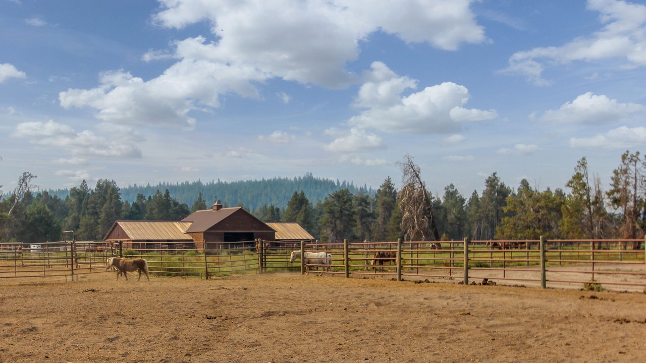 Photo of Others in Sunriver