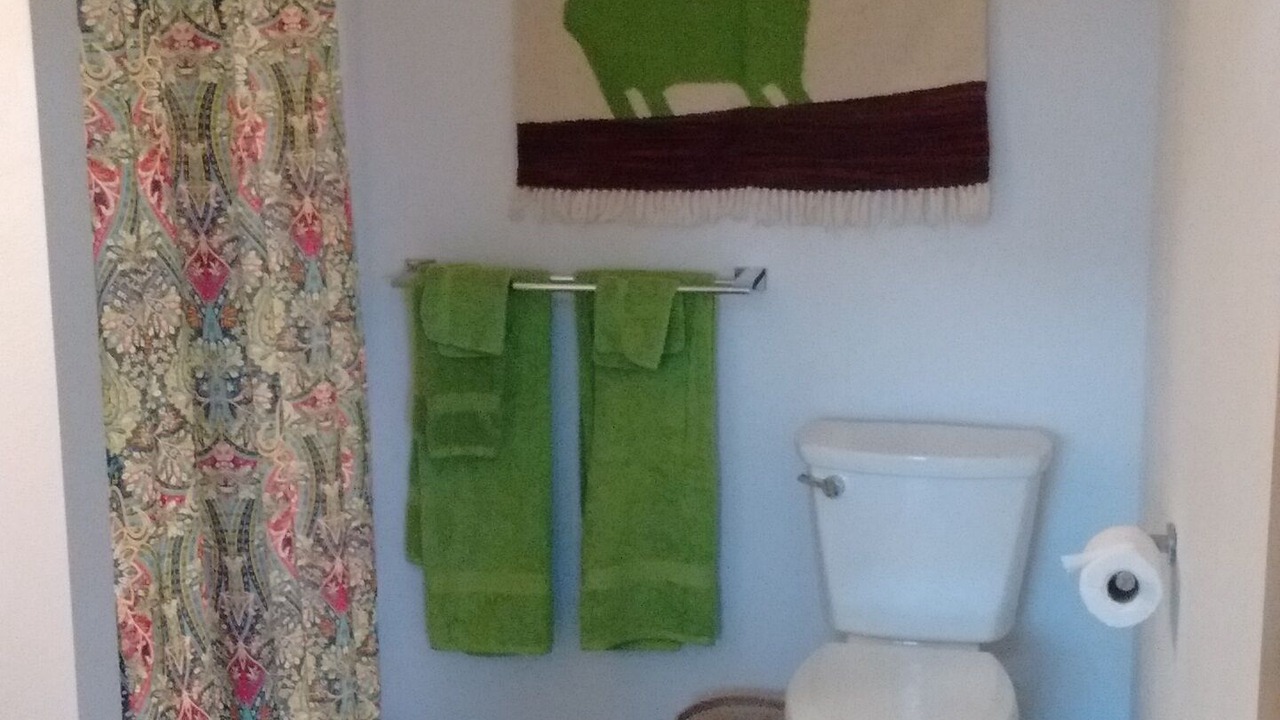 Photo of Bathroom in Albany