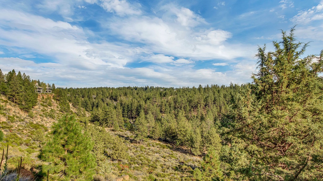 Photo of Outdoor in Century West