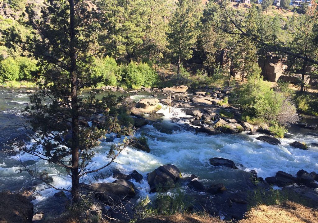 Photo of Outdoor in Century West