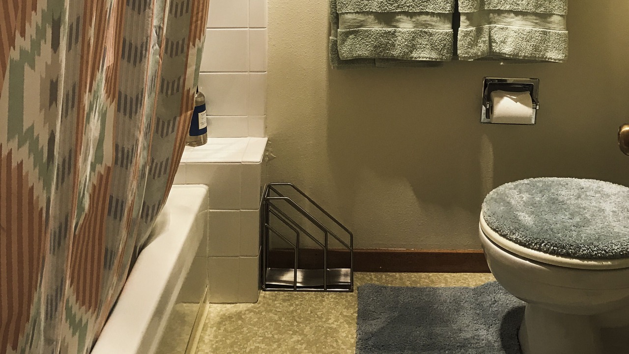 Photo of Bathroom in Moose Wilson Road
