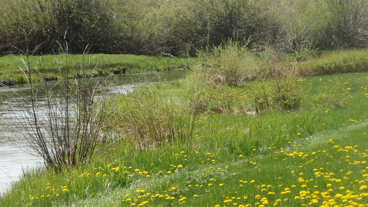 Photo of Others in Fort Klamath