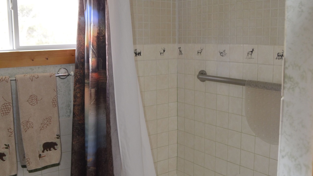 Photo of Bathroom in Gardiner