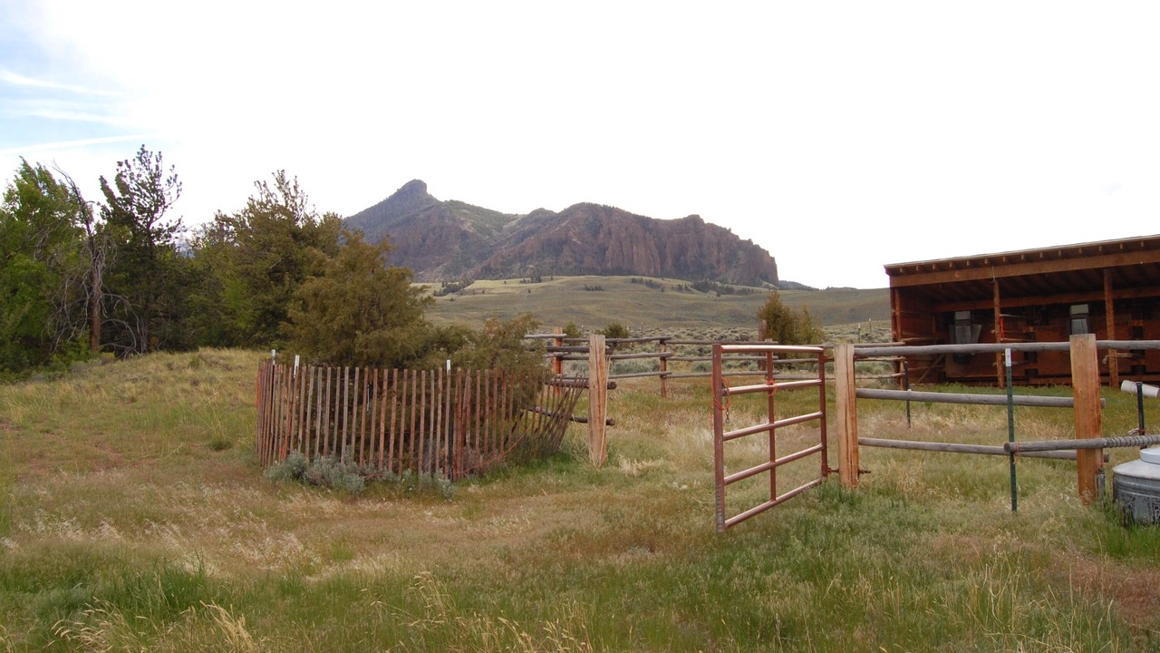 Photo of Others in Wapiti