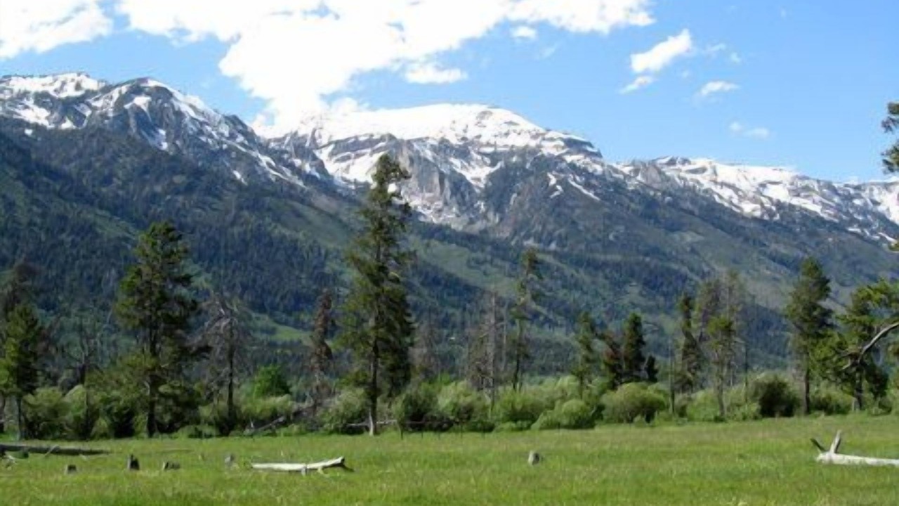 Photo of Others in Moose Wilson Road