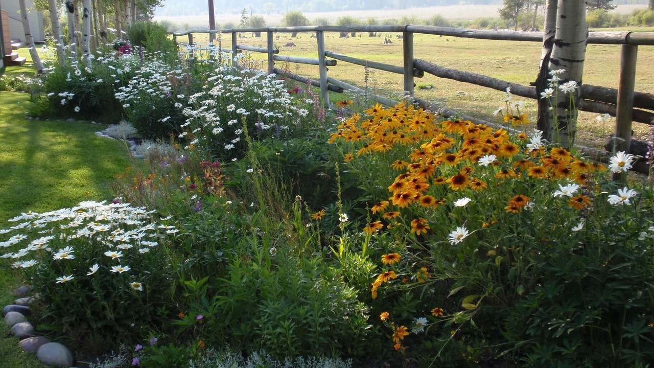 Photo of Outdoor in Moose Wilson Road