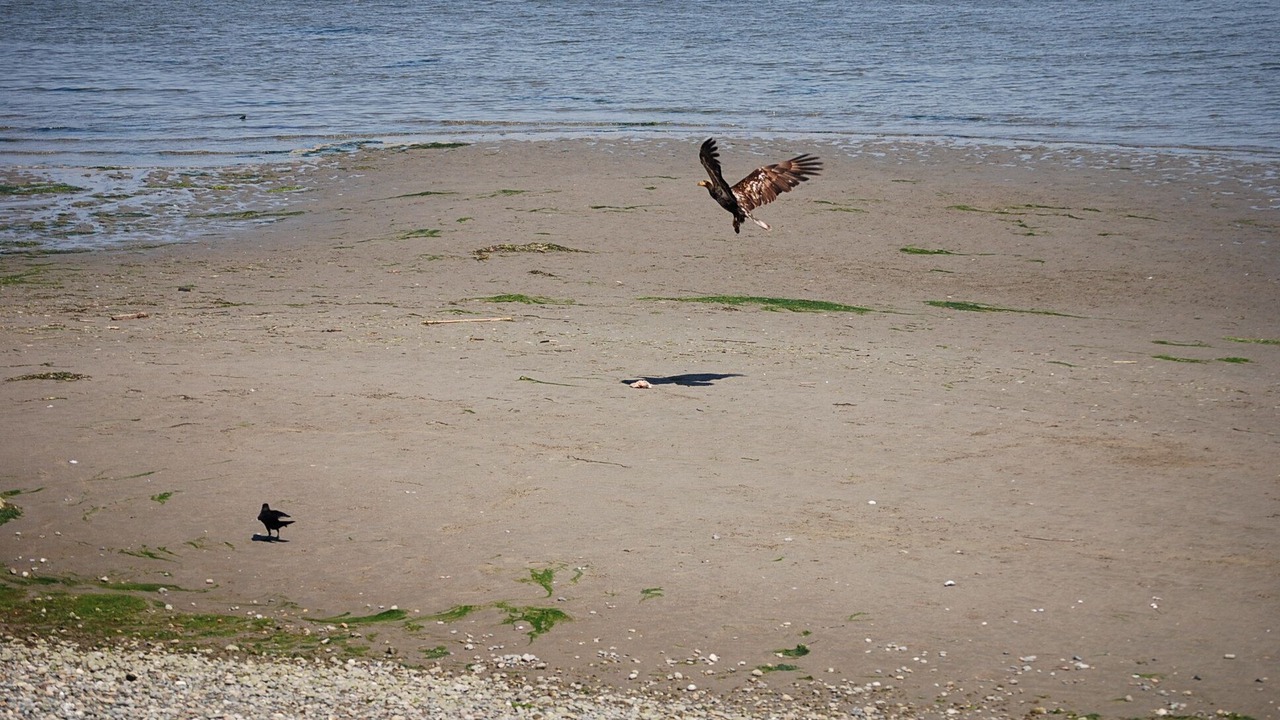 Photo of Others in Langley