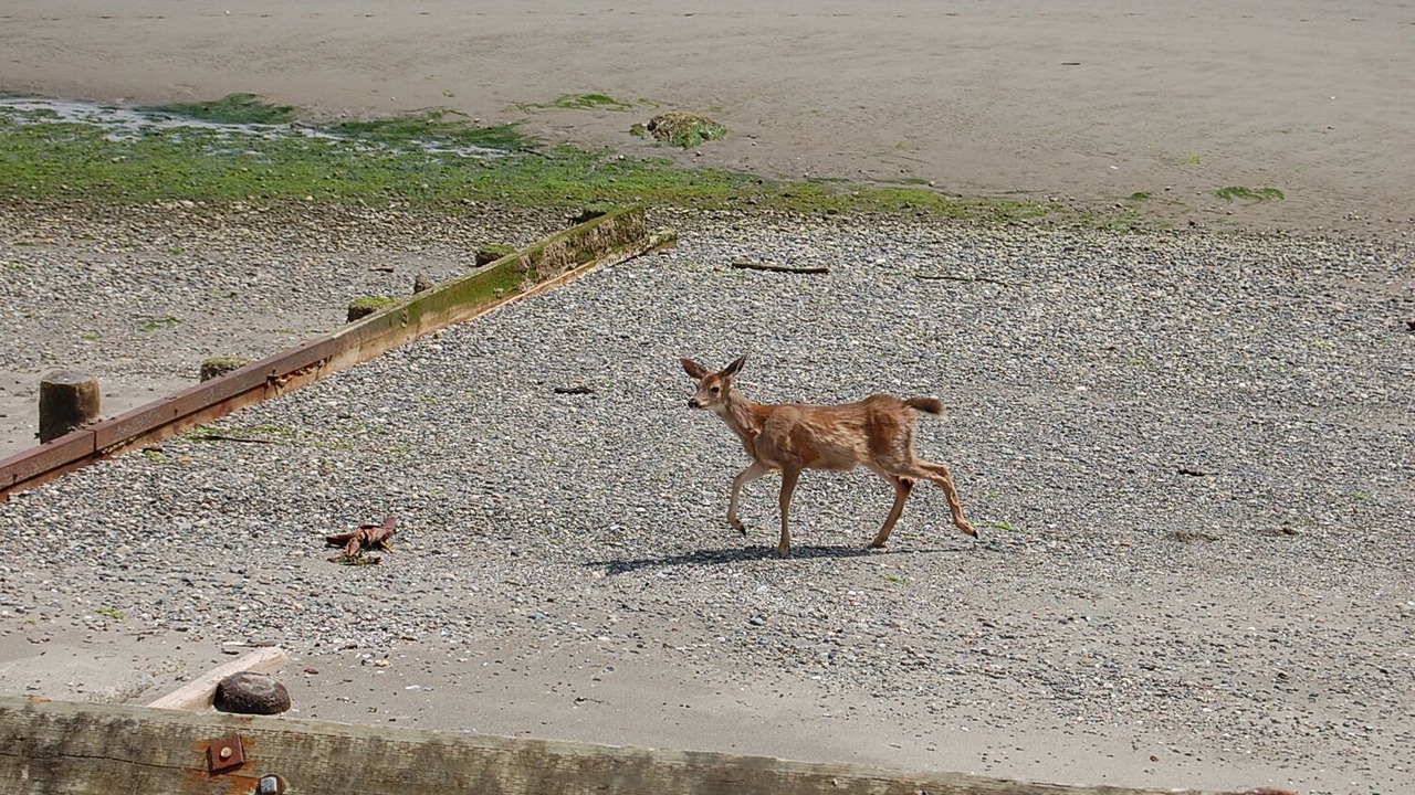 Photo of Others in Langley