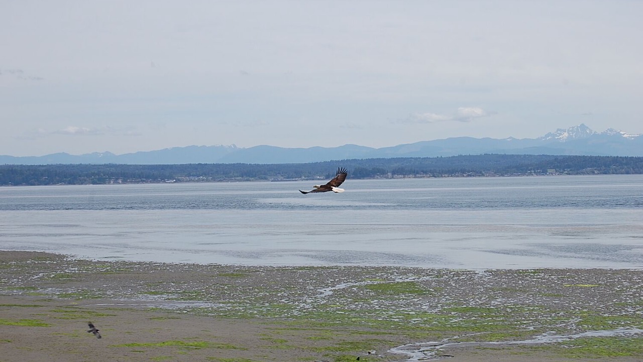 Photo of Others in Langley