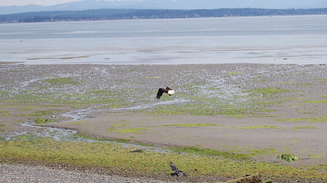 Photo of Others in Langley
