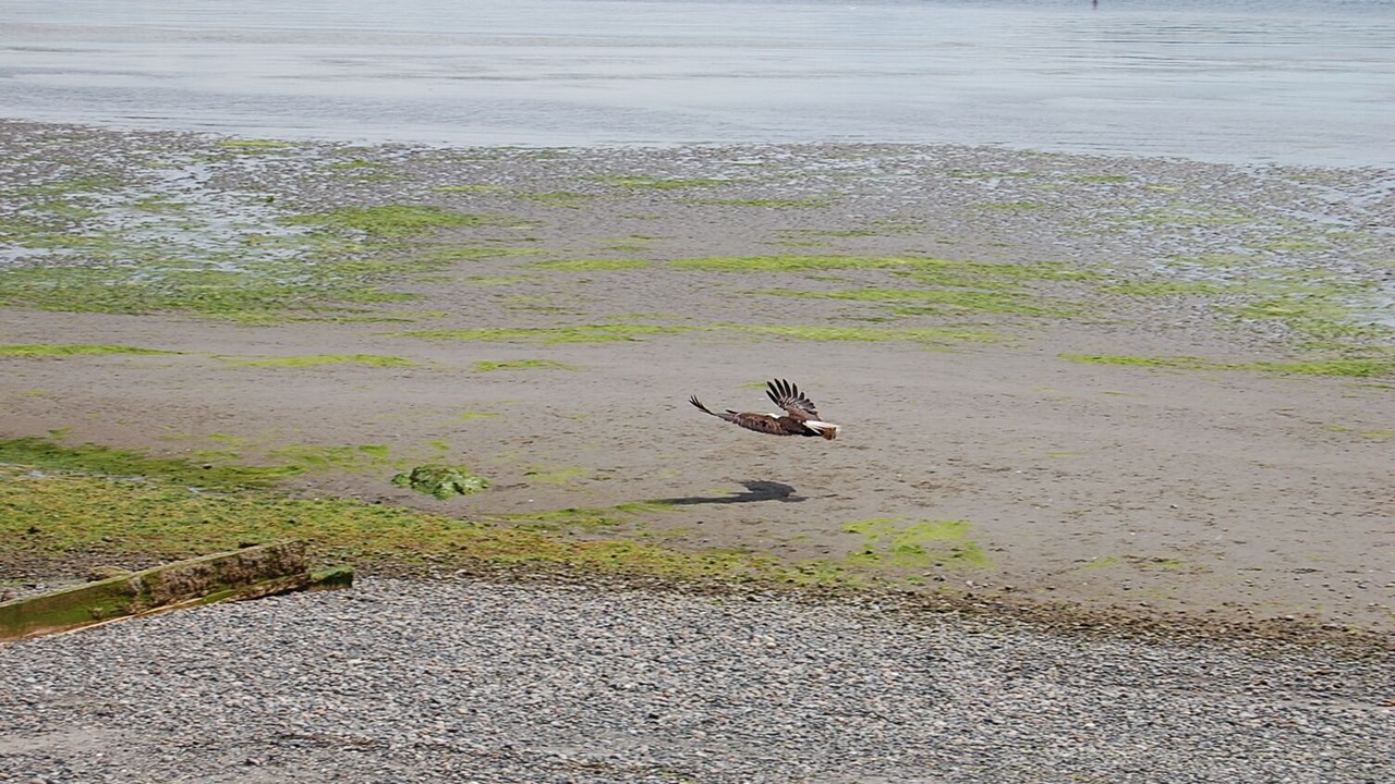 Photo of Others in Langley