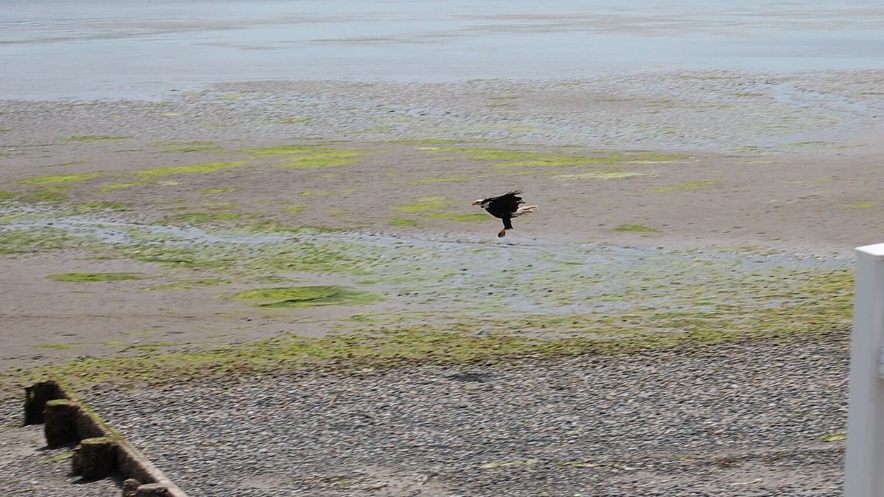Photo of Others in Langley