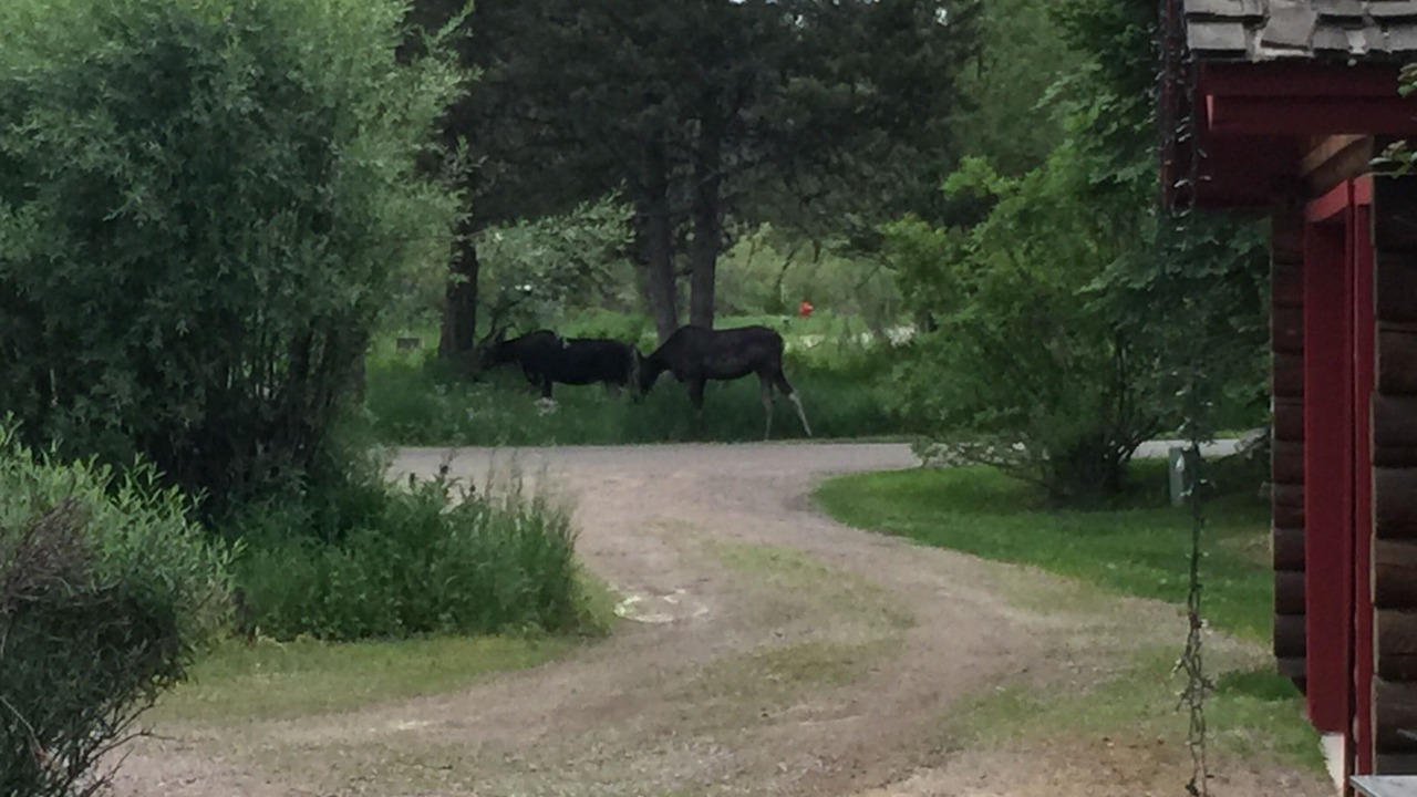 Photo of Outdoor in Moose Wilson Road