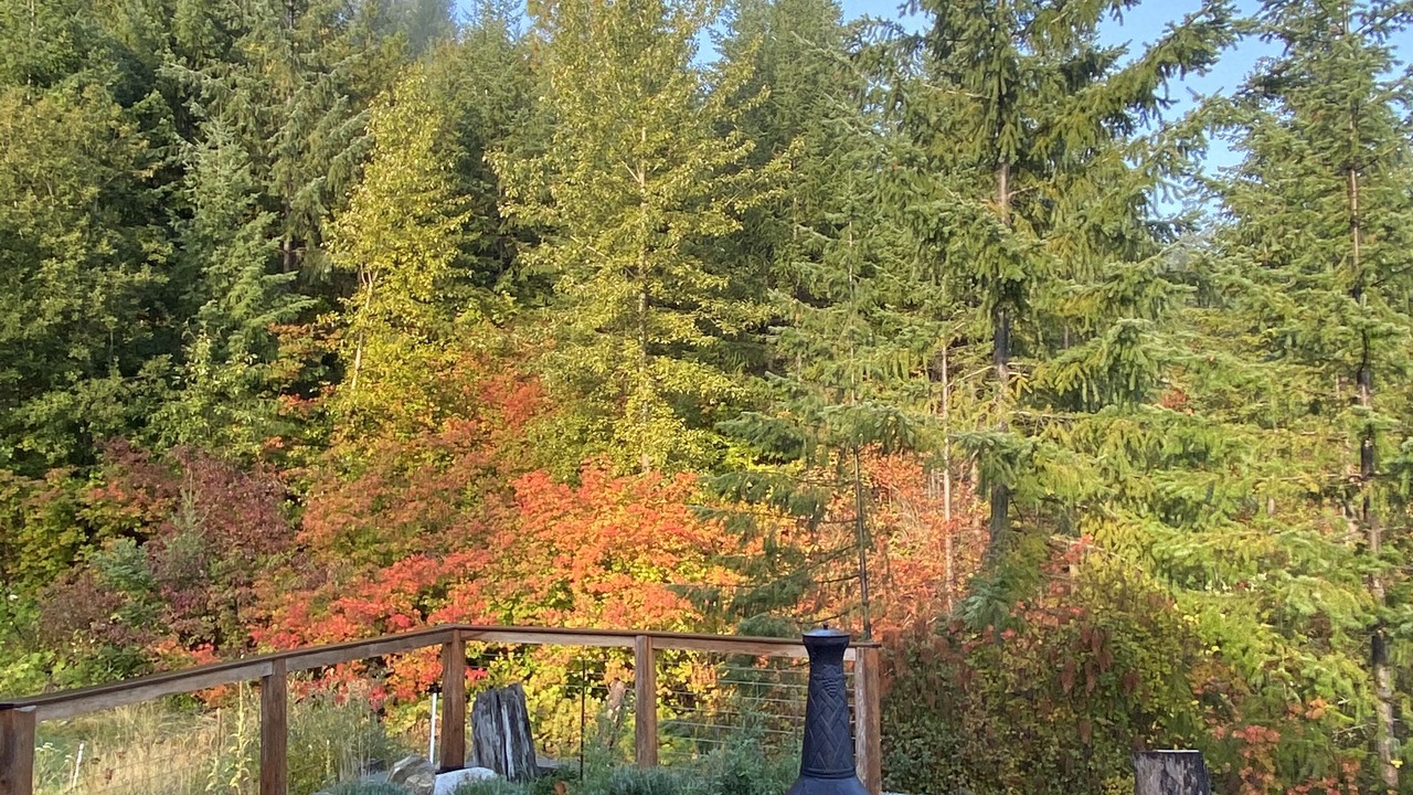Photo of Outdoor in Ardenvoir