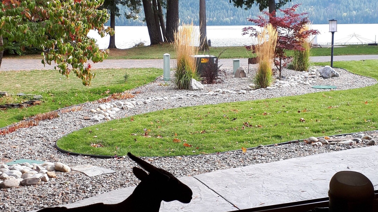 Photo of Outdoor in Dover Bay
