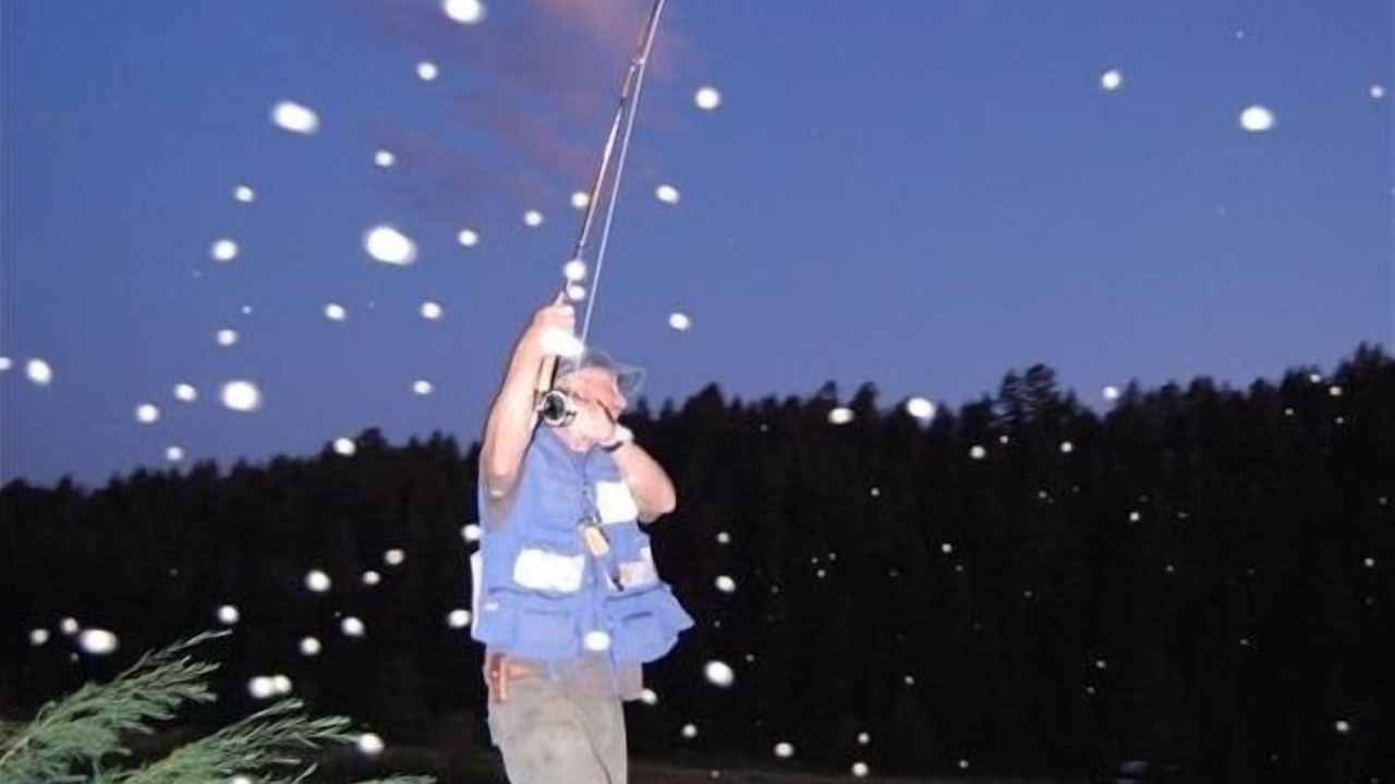 Photo of Others in West Yellowstone