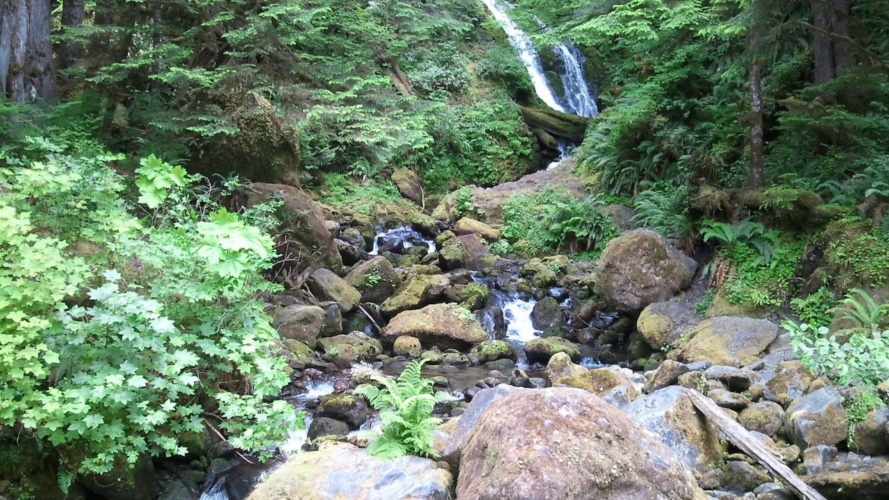 Photo of Outdoor in Amanda Park