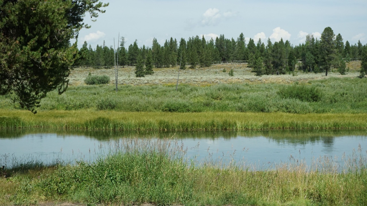 Photo of Outdoor in Island Park