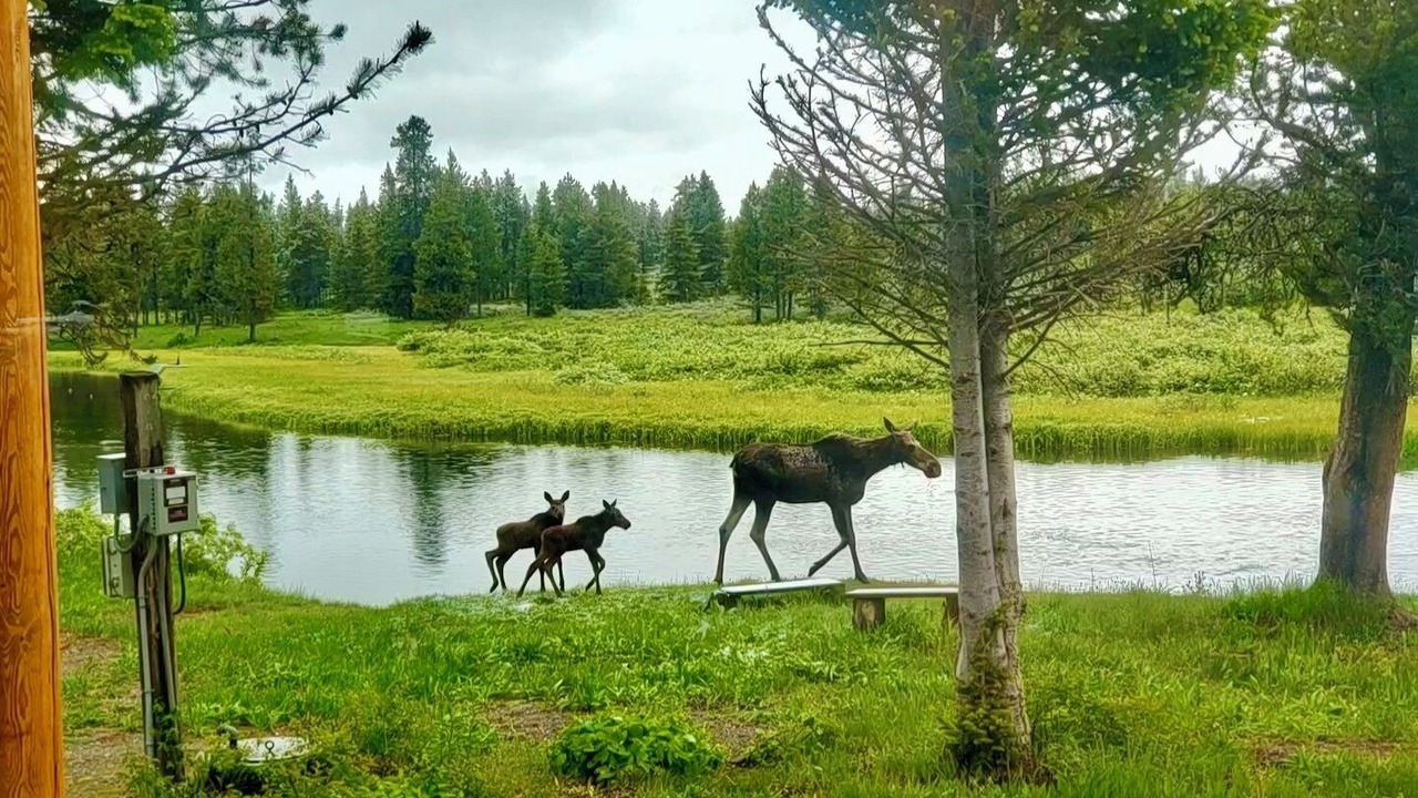 Photo of Outdoor in Island Park