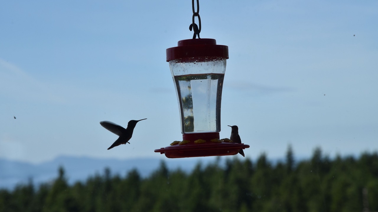 Photo of Others in Friday Harbor