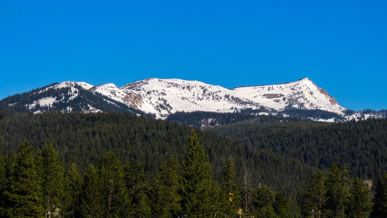 Photo of Outdoor in Lazy Acres