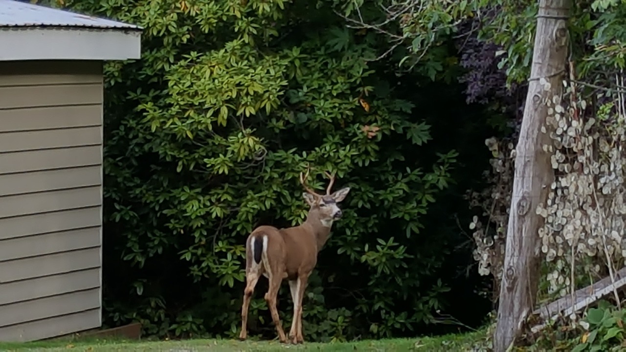 Photo of Outdoor in Vaughn