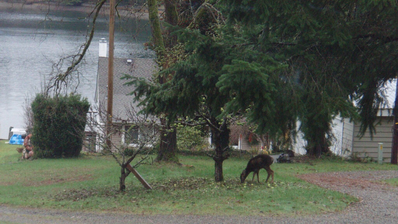Photo of Outdoor in Vaughn