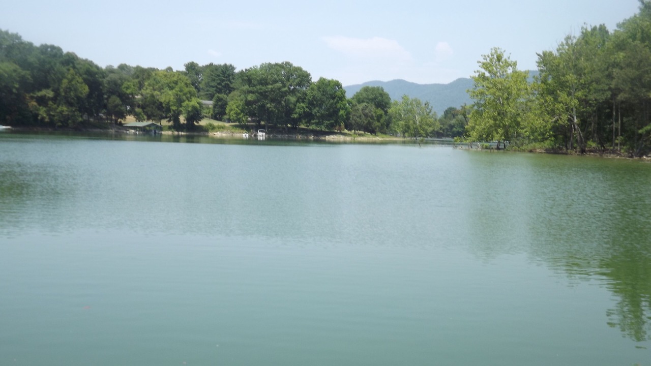 Photo of Outdoor in Speedwell