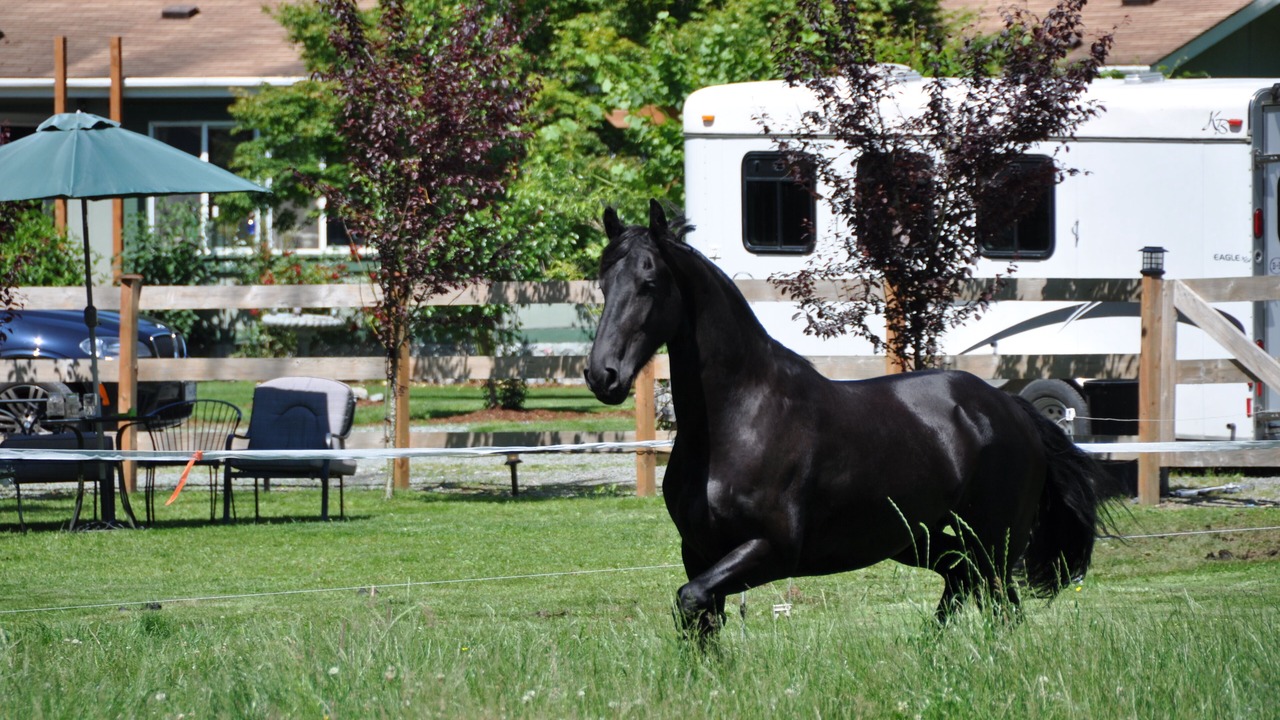 Photo of Outdoor in Sedro-Woolley