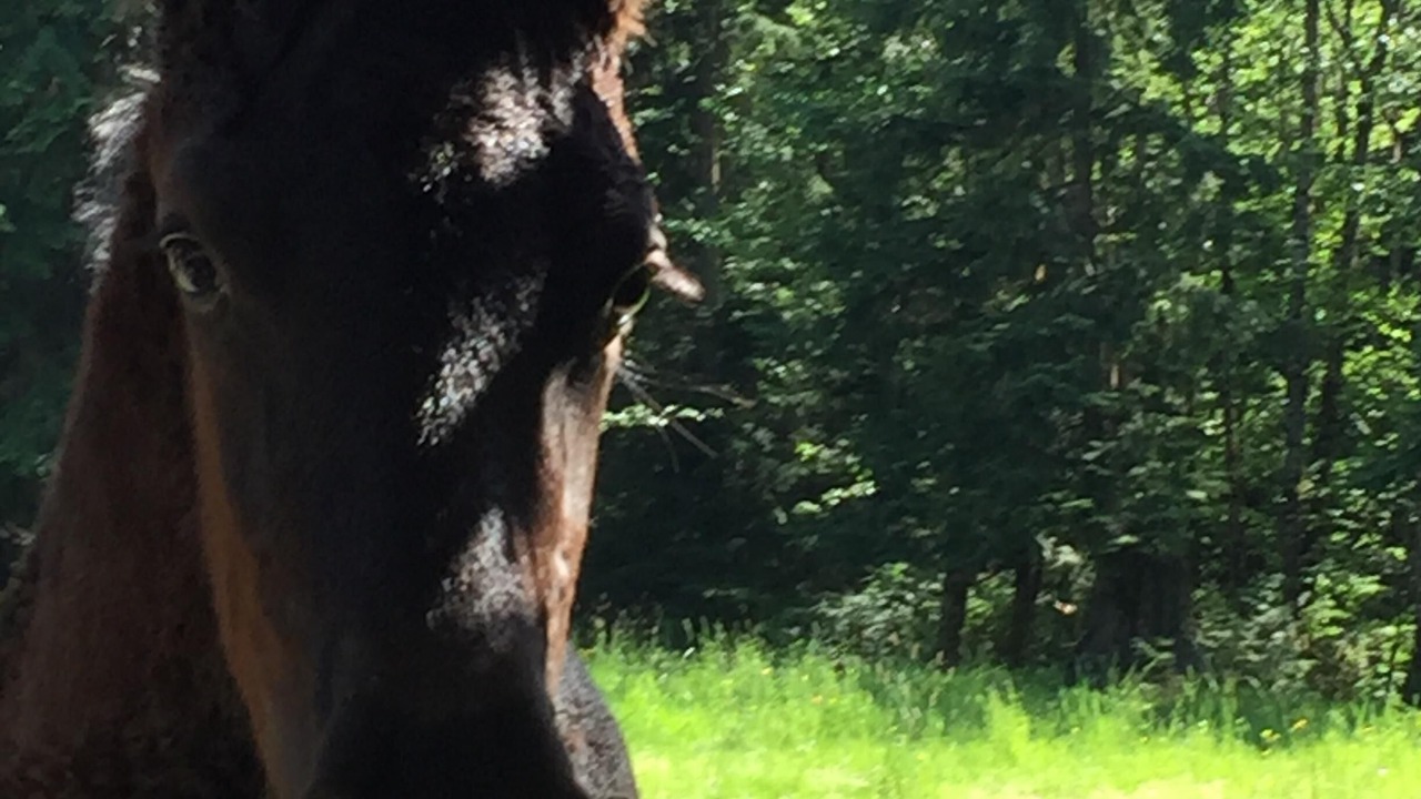 Photo of Others in Sedro-Woolley