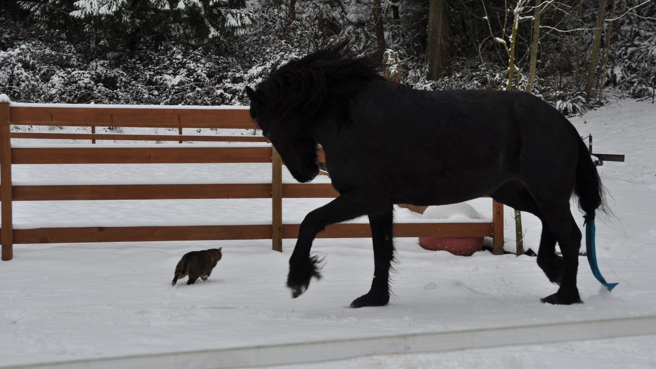 Photo of Others in Sedro-Woolley