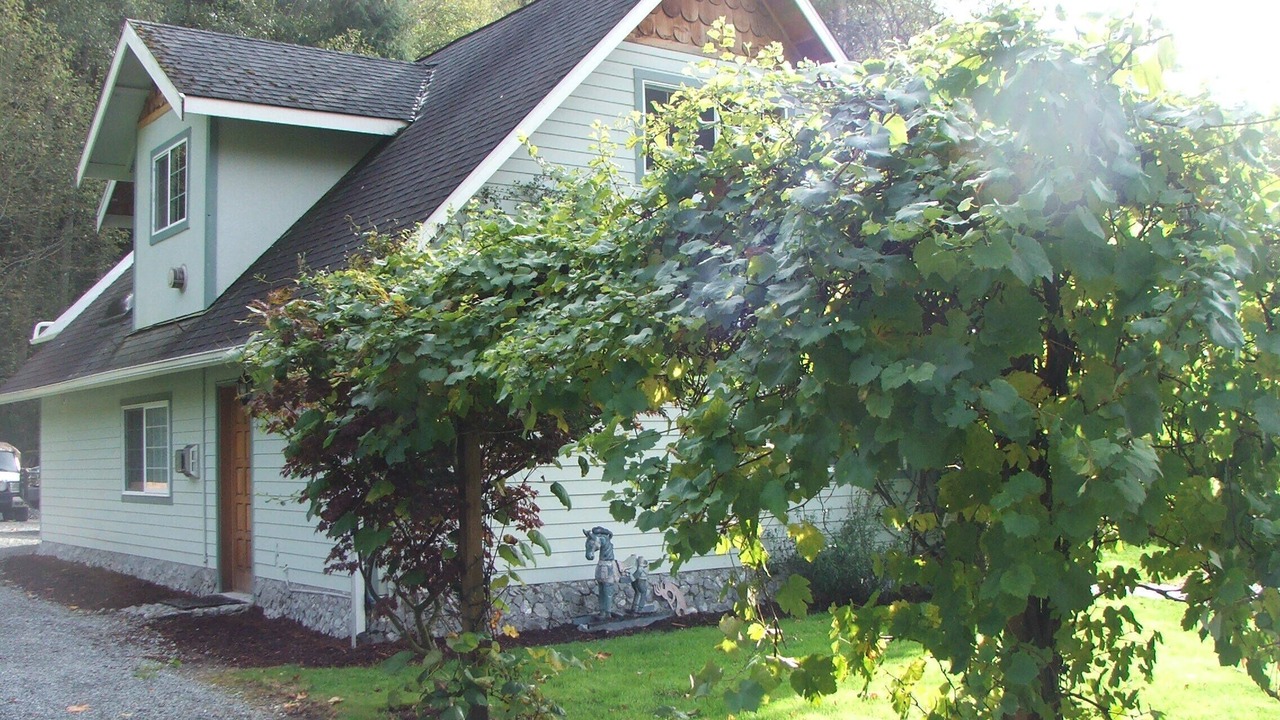 Photo of Outdoor in Sedro-Woolley