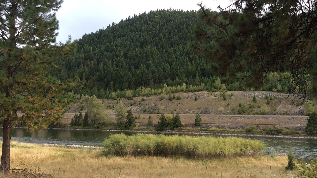 Photo of Others in Libby
