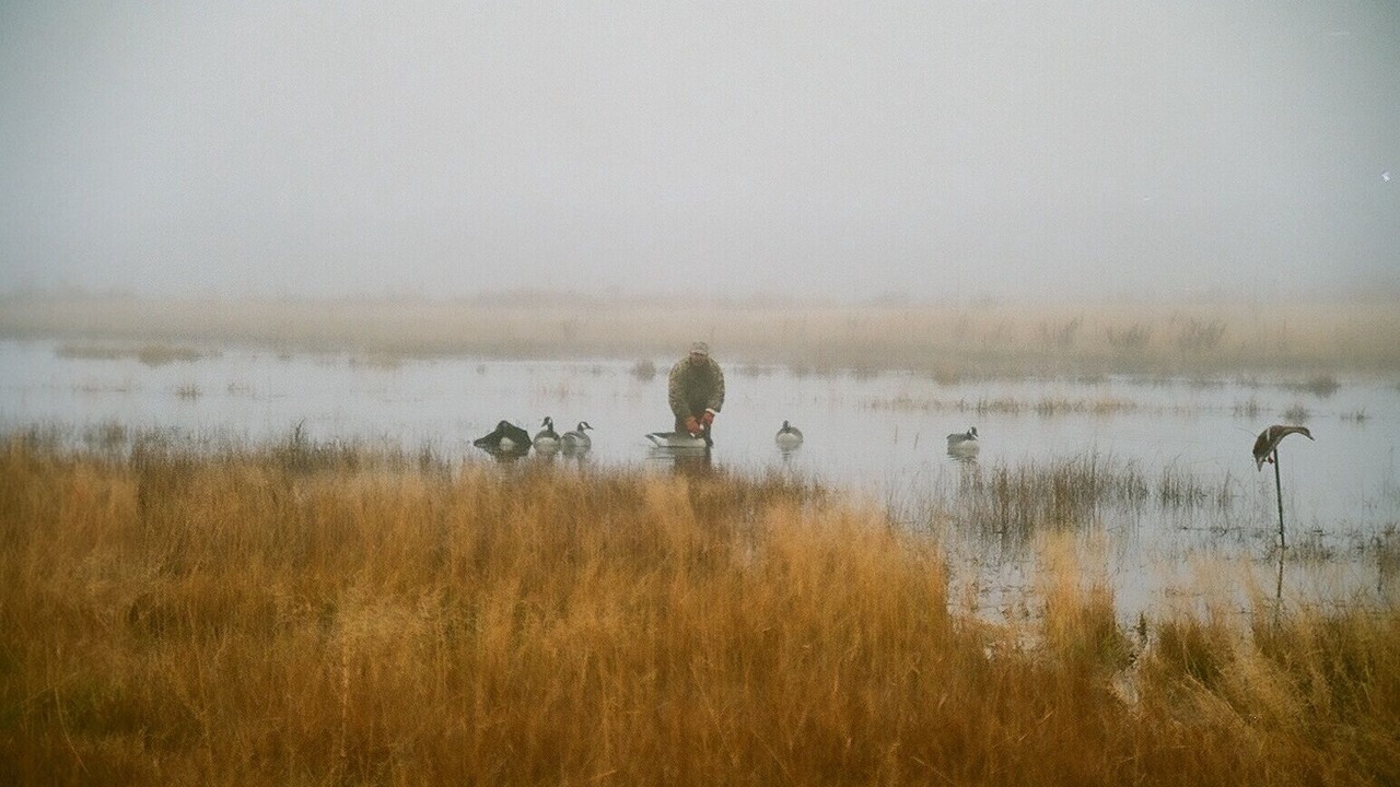 Photo of Outdoor in Chester