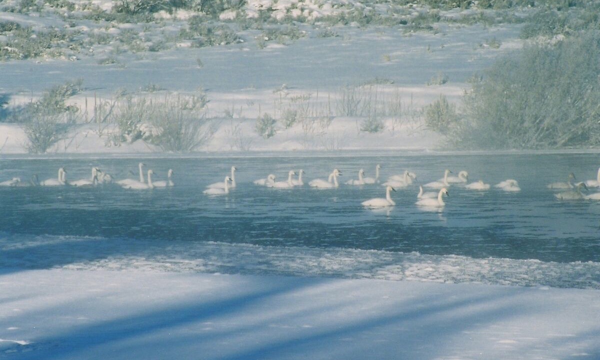 Photo of Others in Chester
