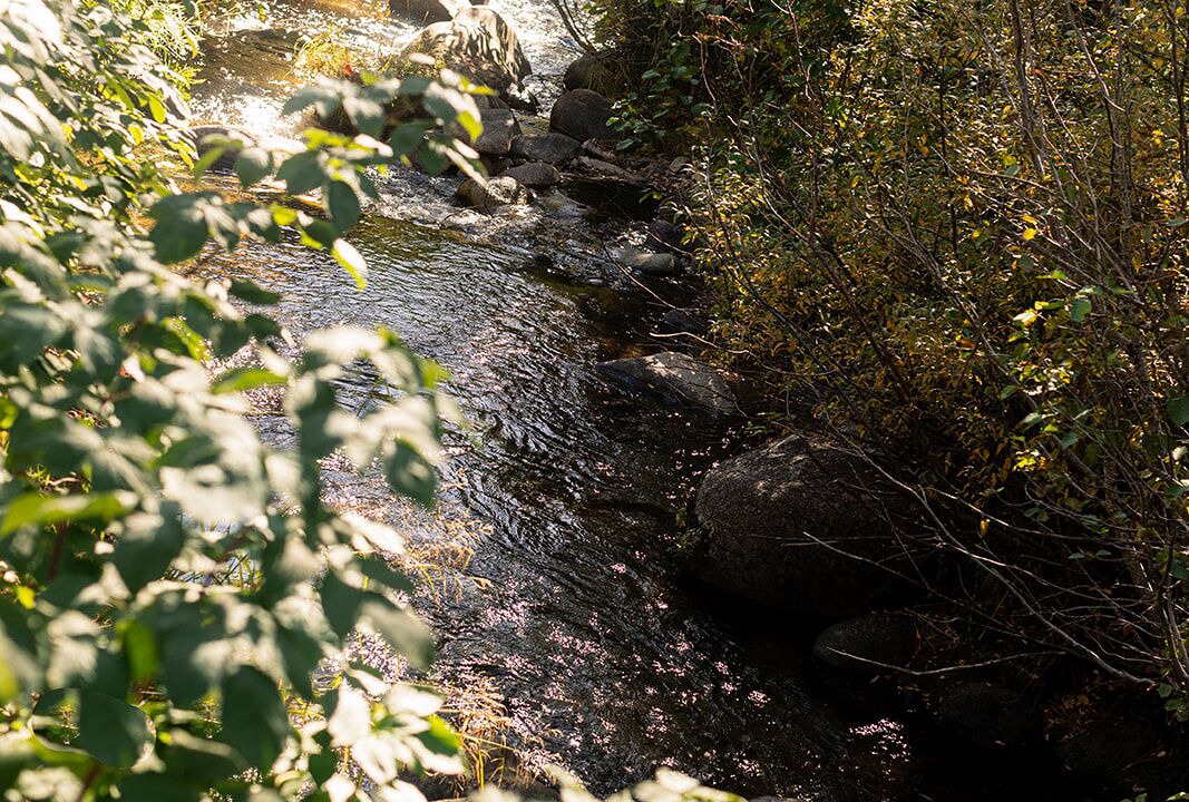 Photo of Others in Idaho City