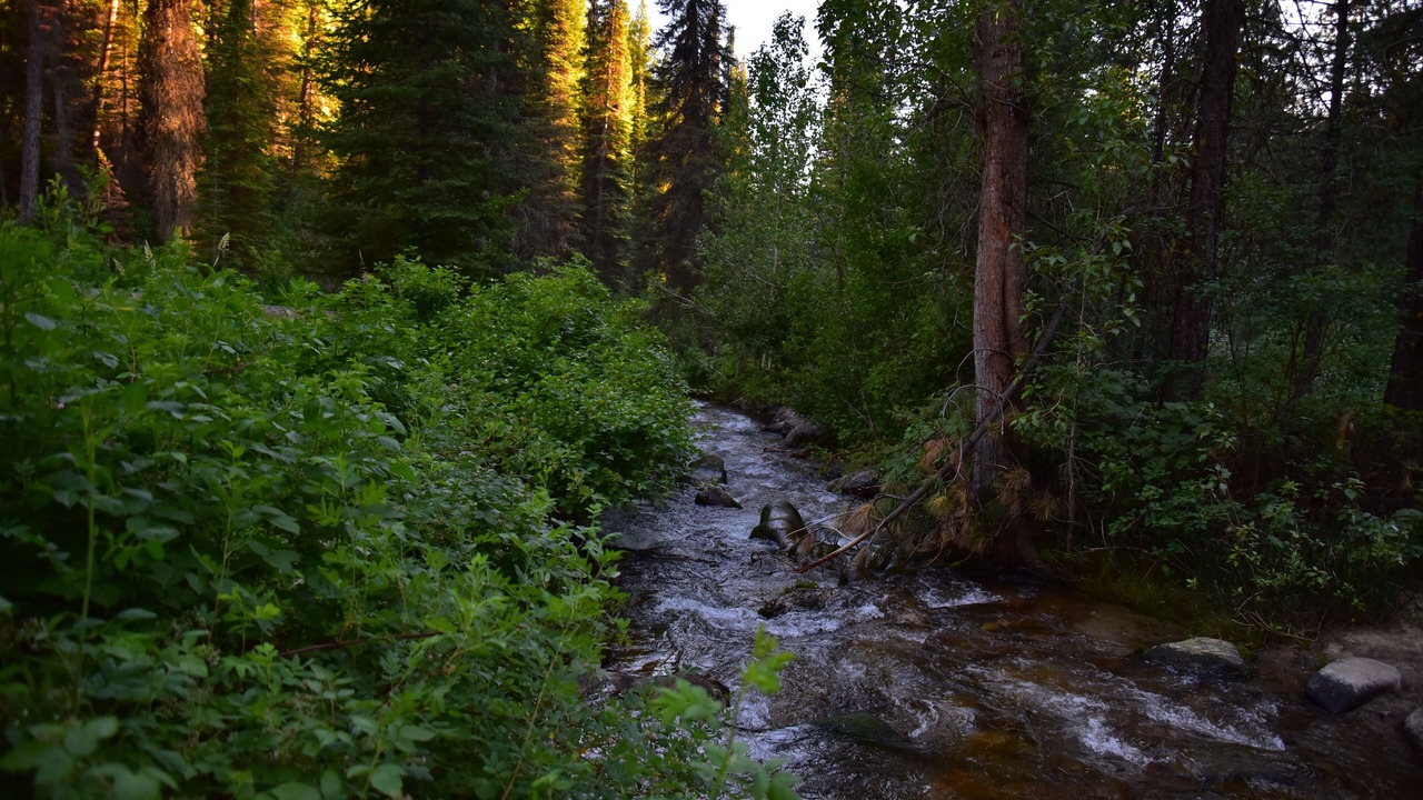 Photo of Outdoor in Idaho City