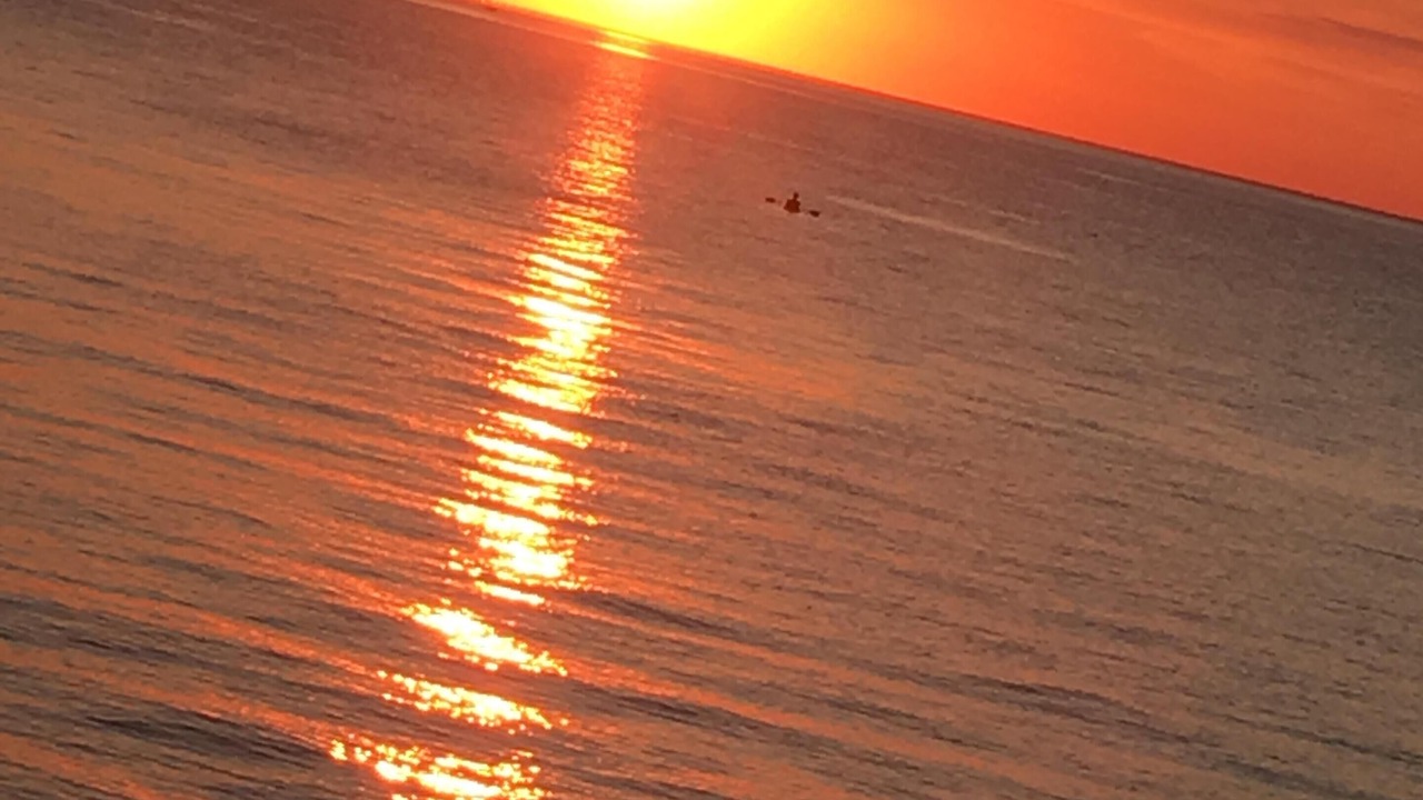 Photo of Others in Pigeon