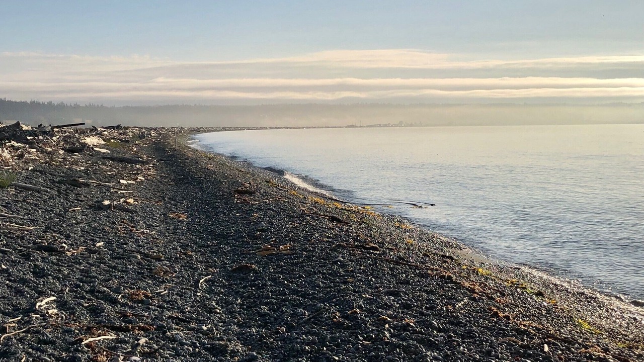 Photo of Others in Coupeville
