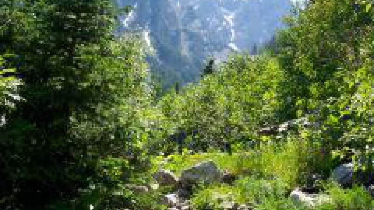 Photo of Outdoor in Emigrant