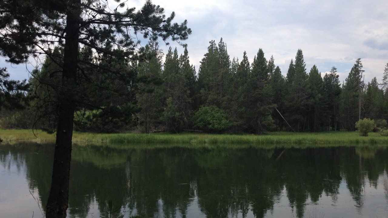 Photo of Outdoor in Oregon Water Wonderland