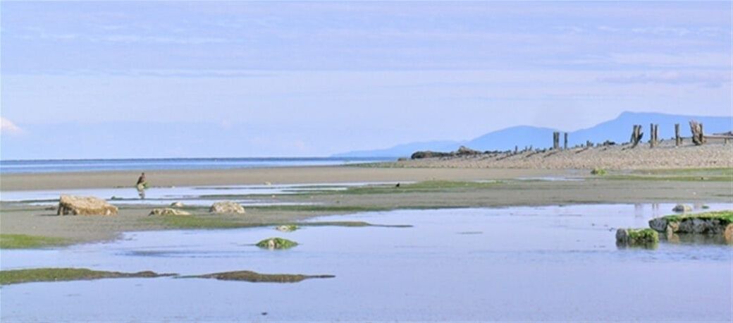 Photo of Others in Point Roberts
